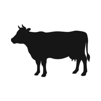 Tehén